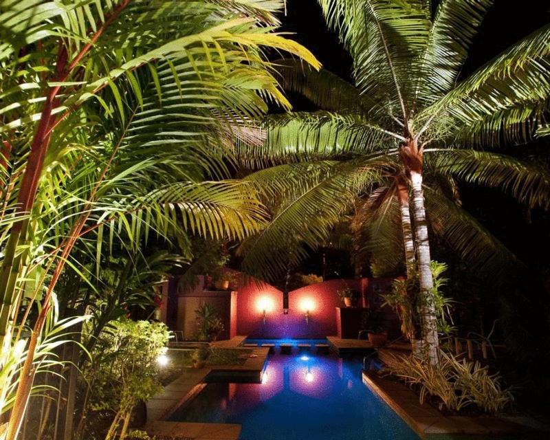 Dreamcatcher Beach-Side Apartments Port Douglas Exteriér fotografie